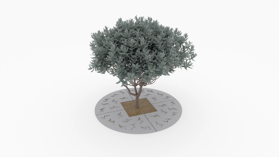 Kraty pod rosliny aztek circle B