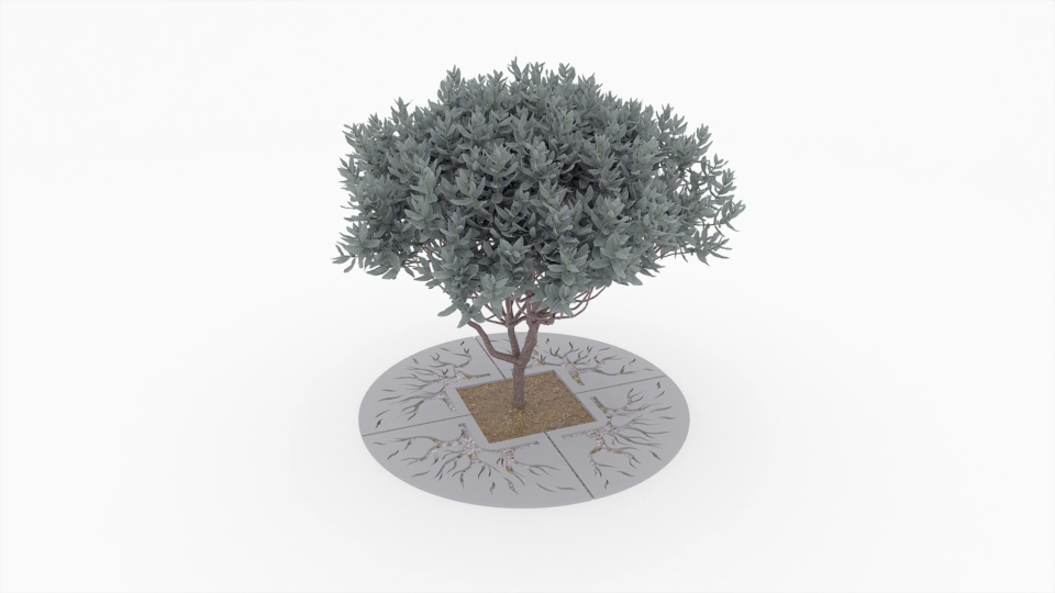 Kraty pod rosliny aztek circle C