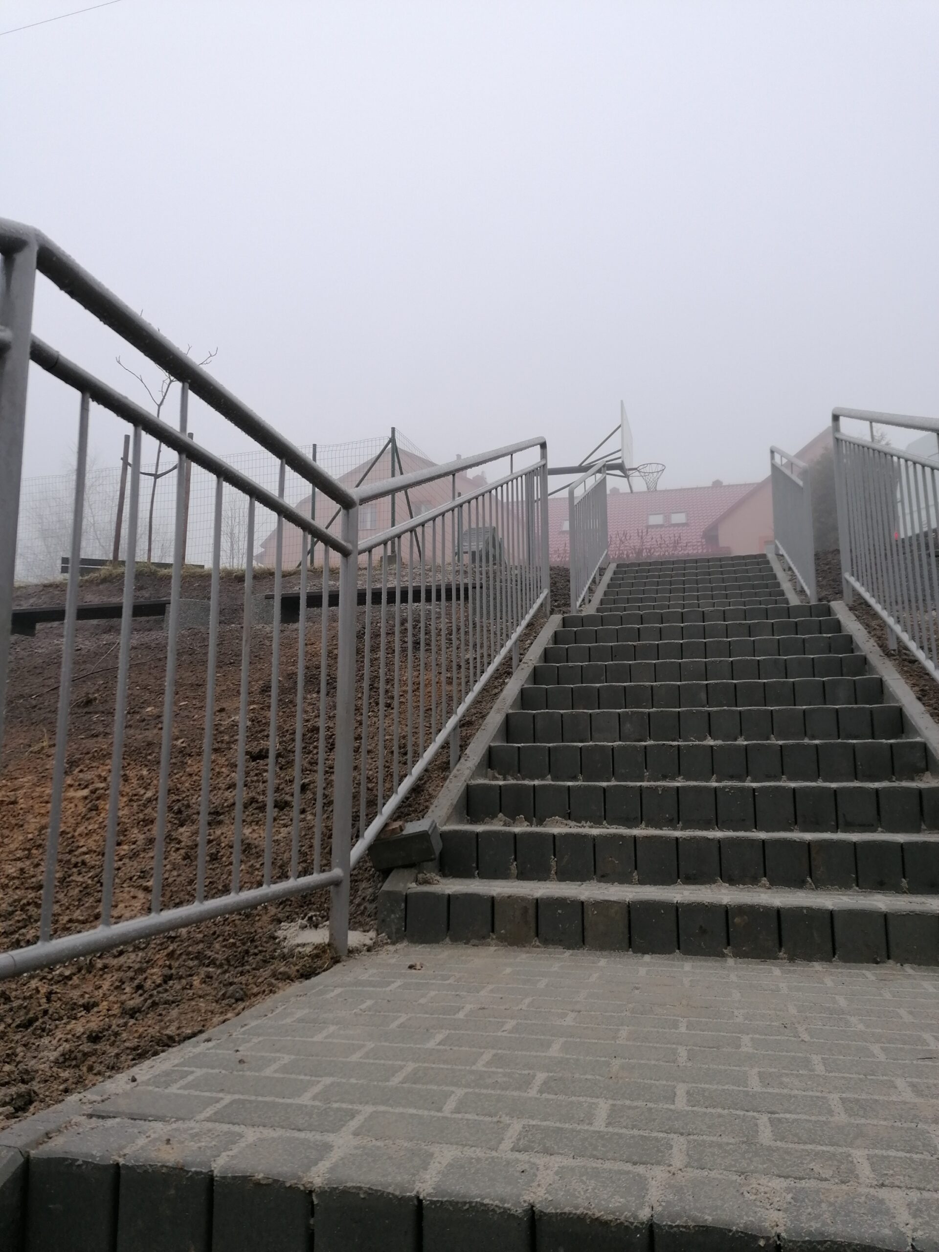 Miekinia boisko konarch