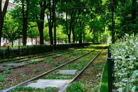 przestrzen miejska